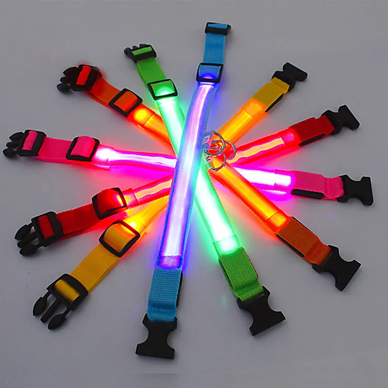 LED Dog Collars