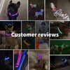 LED Dog Collars